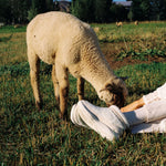 Woman crouching to feed a sheep while wearing KURU DRAFT Lahti Women's Cozy Boots in Winter Cream-Ashwood.